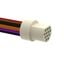 CIRC CBL 12POS PLUG TO WIRE 1.5'