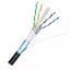 CAT6A-3041D-FTP-B