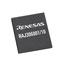 RAJ306001_10-chip