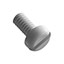 PAN SLOTTED SCREW, NATURAL, NYLO
