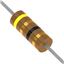 43 Ohm 5% Axial Resistor RC
