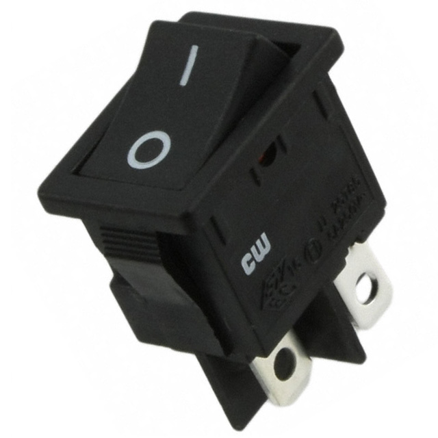 Rocker Switch DPST 10A (AC) 125 V Panel Mount, Snap-In