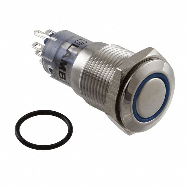 Pushbutton Switch DPDT Anti-Vandal, Illuminated Panel Mount, Front