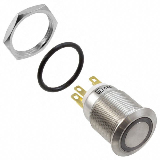 Pushbutton Switch DPST-NO/NC Anti-Vandal, Illuminated Panel Mount, Front