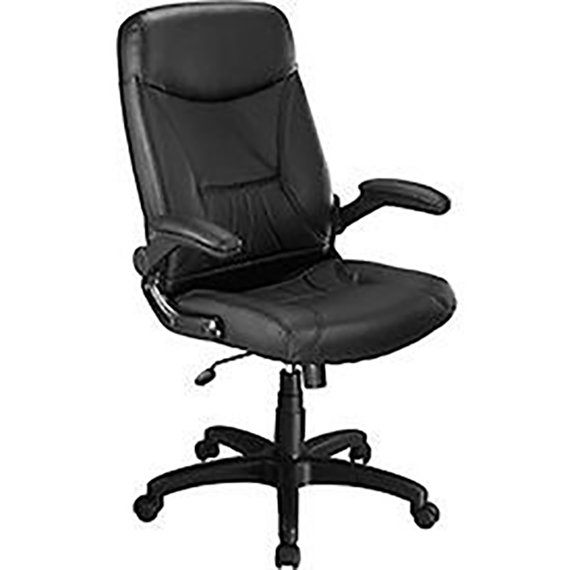 250lb 5-Star Caster Base Black Executive Chair
