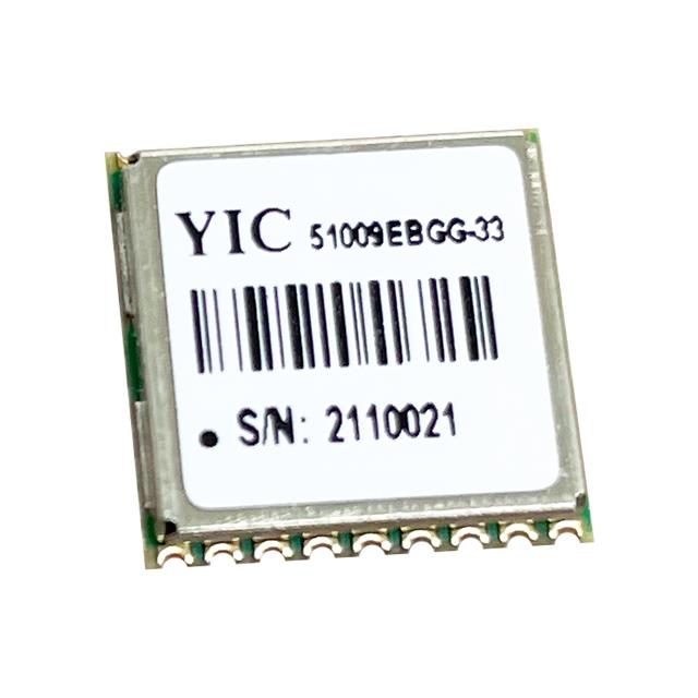 YIC51009EBGG-33