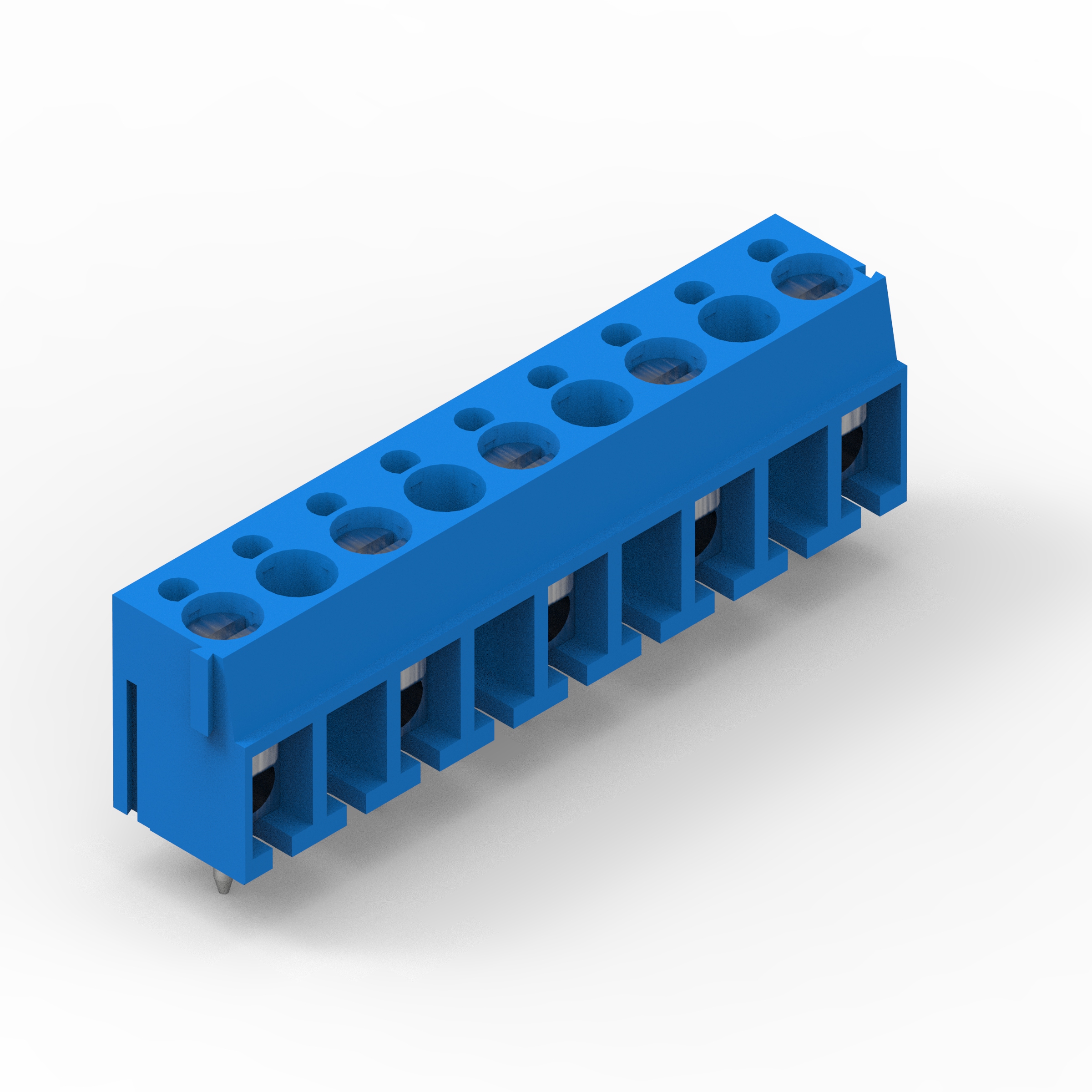 691101810005 691101810005