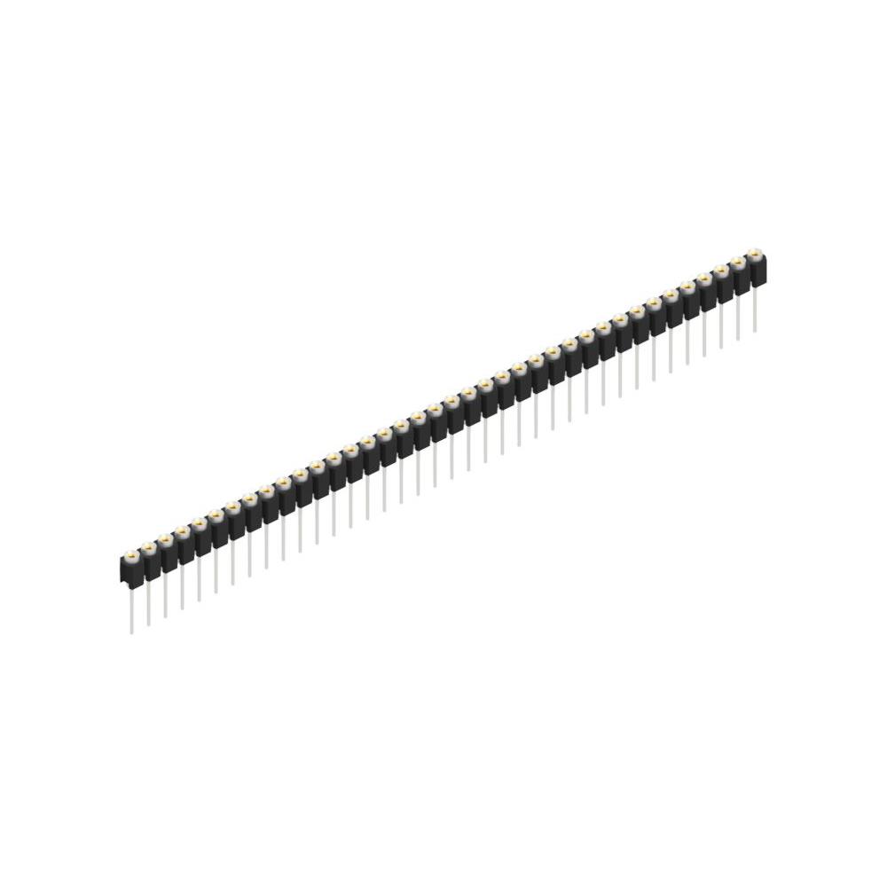 MK 31 38 Z MK 31 38 Z