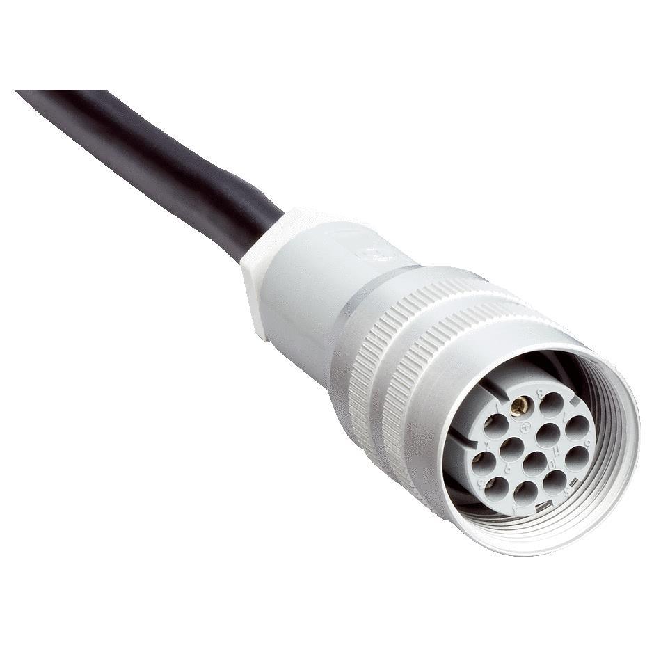 CIRC CBL 12POS PLUG TO WIRE 164'