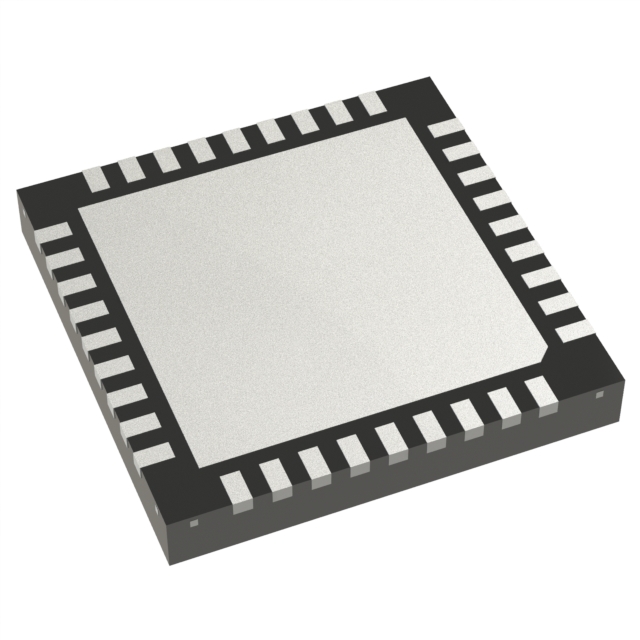 ML610Q306-NNNGDZW5BX