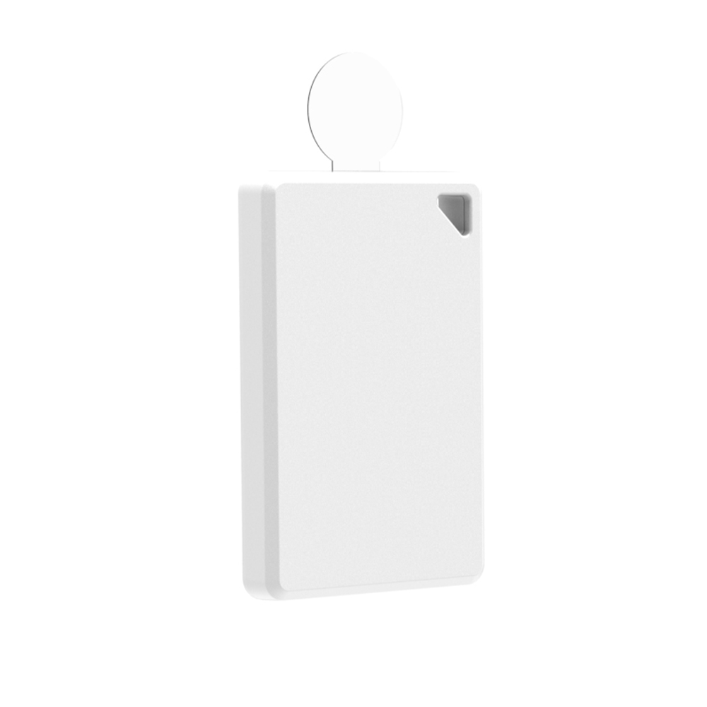 E8 Standard E8 Standard