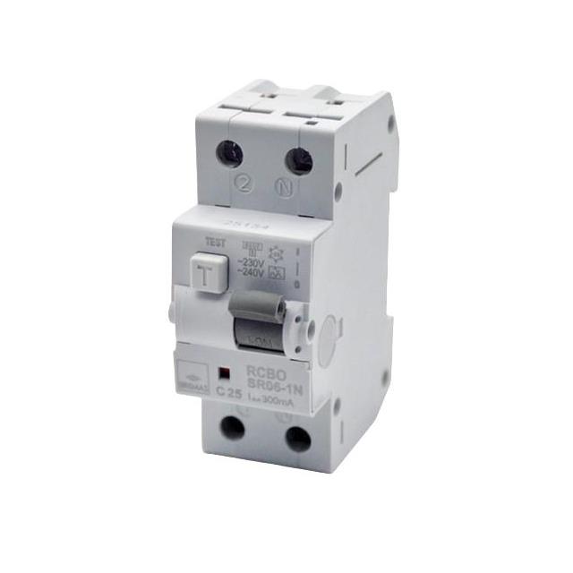 SR06AC1NC16A300 SR06AC1NC16A300