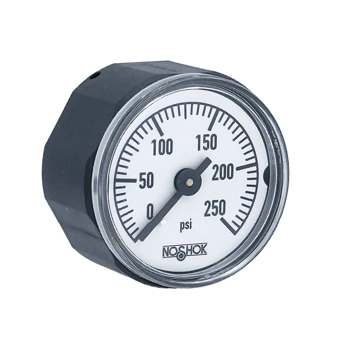 10-110-250-psi 10-110-250-psi