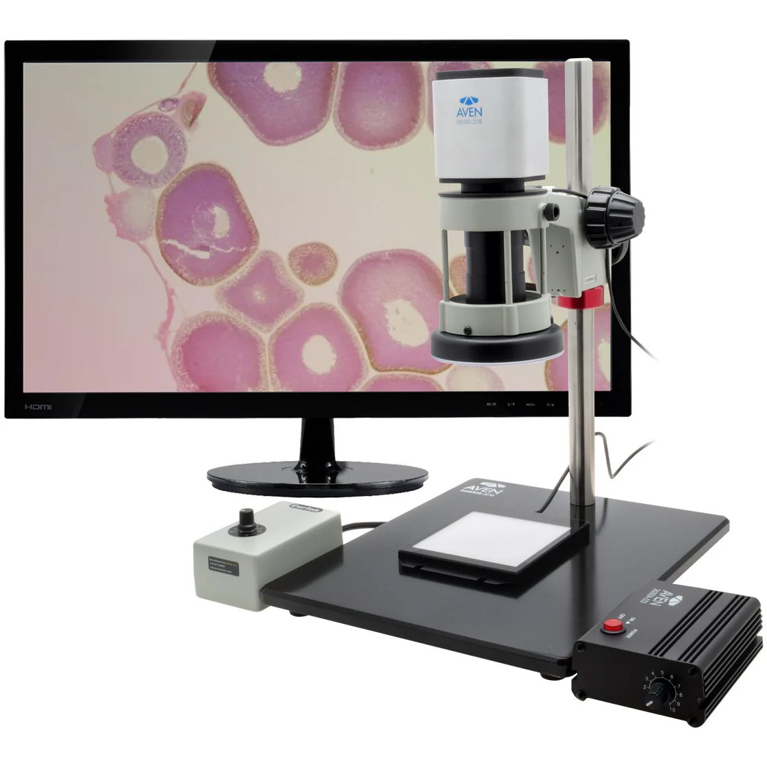 【26700-124】DIGITAL MICROSCOPE MIGHTY CAM PR