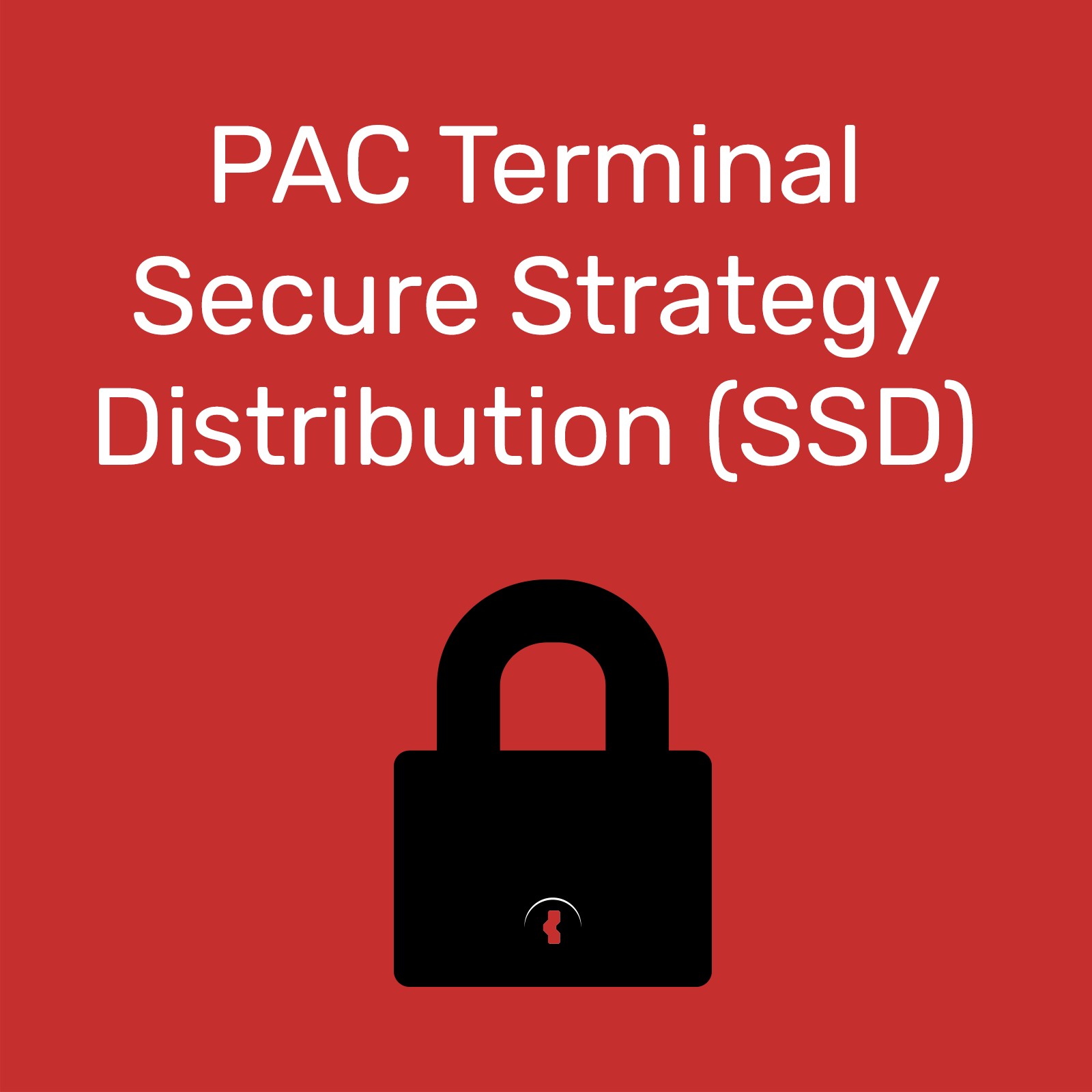 【PACTERMSSD】PAC TERMINAL SECURE STRATEGY DIS