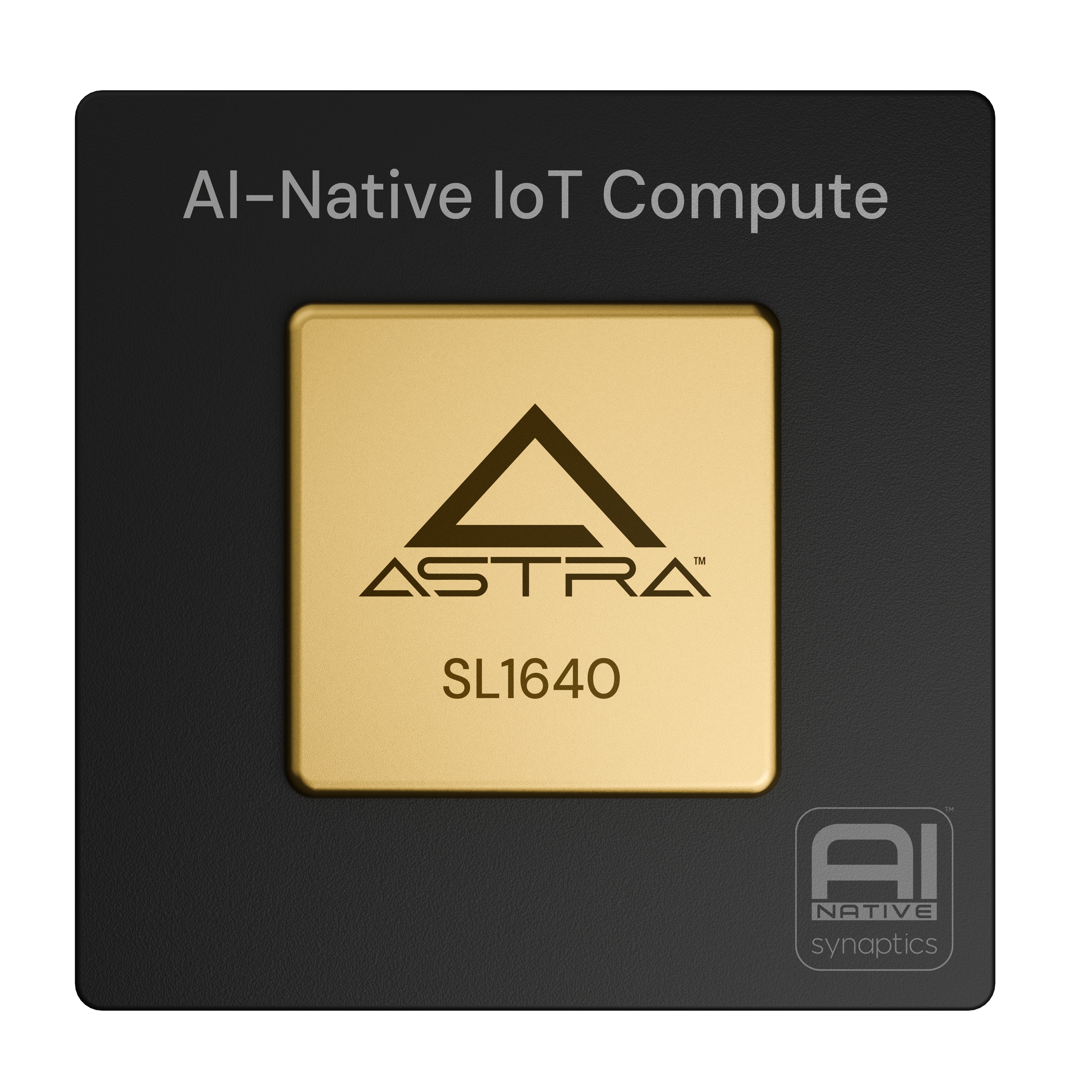 SL1640A1-BYJXSYY-T000-T