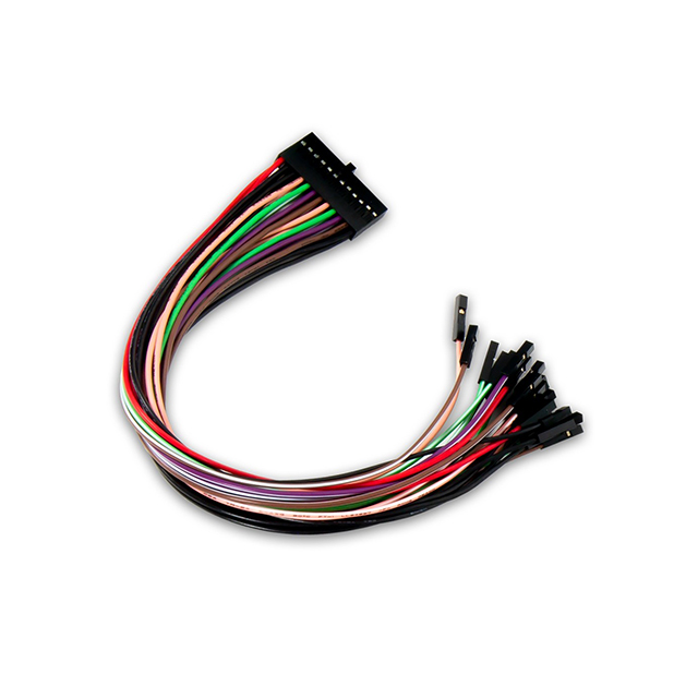 【310-147】KIT CABLE FLYWIRE 2X10 ADP24