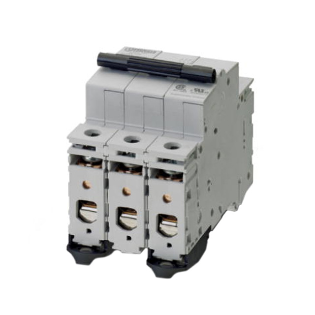 Circuit Breaker Thermal Magnetic 10A 480 V AC DC Lever DIN Rail